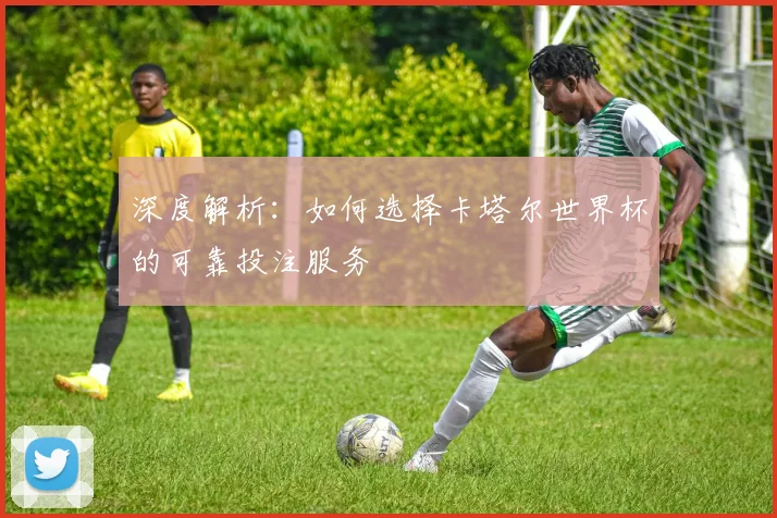 深度解析：如何选择卡塔尔世界杯的可靠投注服务