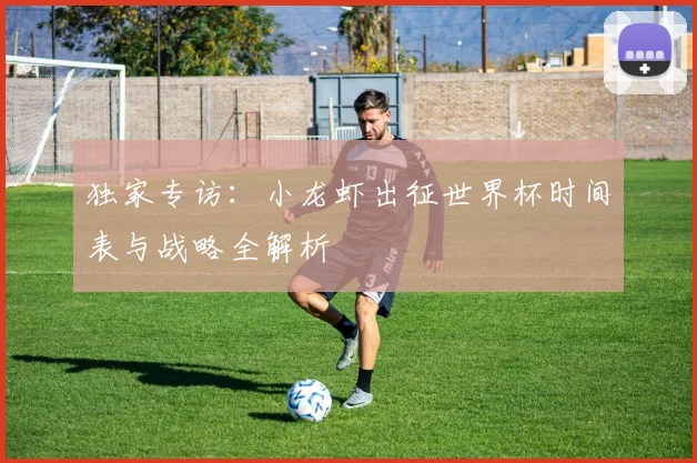 独家专访：小龙虾出征世界杯时间表与战略全解析