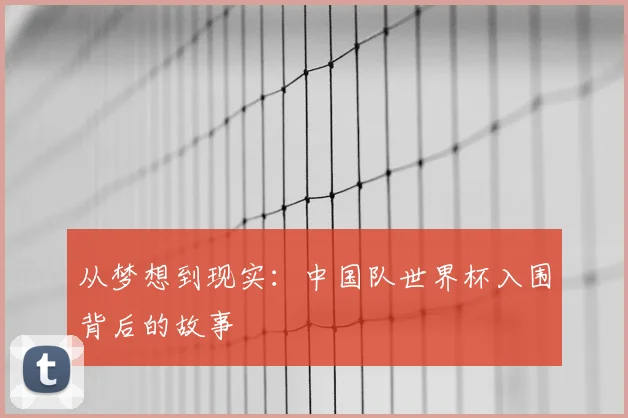 从梦想到现实：中国队世界杯入围背后的故事