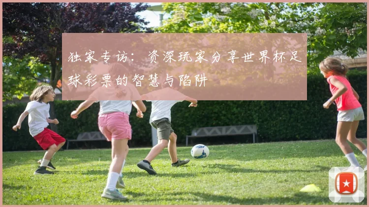 独家专访：资深玩家分享世界杯足球彩票的智慧与陷阱