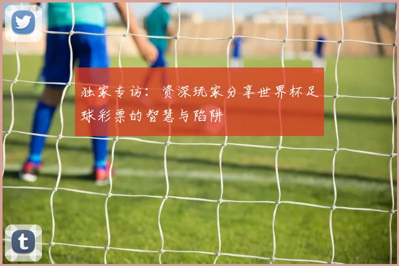 独家专访：资深玩家分享世界杯足球彩票的智慧与陷阱