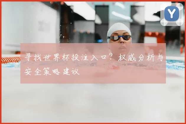 寻找世界杯投注入口？权威分析与安全策略建议