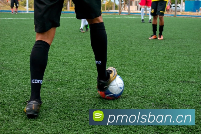 九游官网登录入口网页APP 体育赛事宣传图